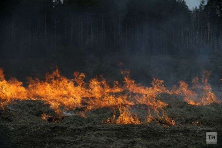 Из-за ранней весны в Татарстане все чаще происходит возгорание сухой травы