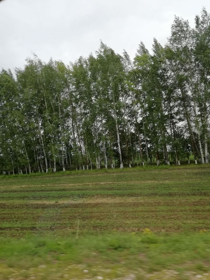 Жители республики примут участие в весеннем этапе природоохранной акции «Чистые леса Татарстана»