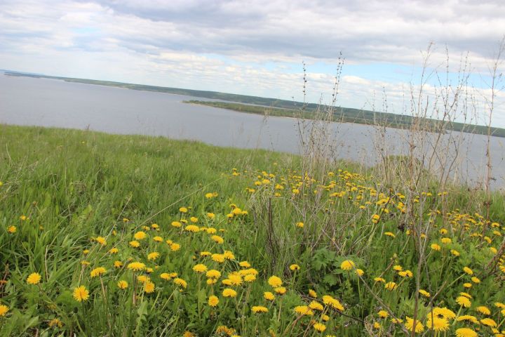 В первую декаду мая в Татарстане превышение климатической нормы составит 2 градуса