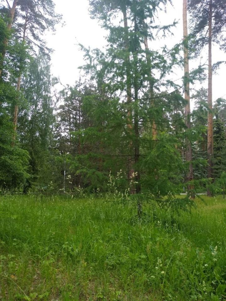 В Татарстане ограничено пребывание в лесах