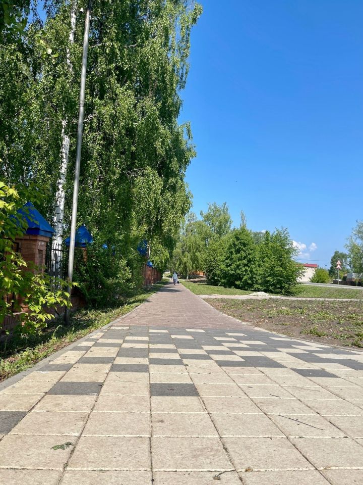 Жители Татарстана проголосовали за благоустройство парков, скверов и дворов