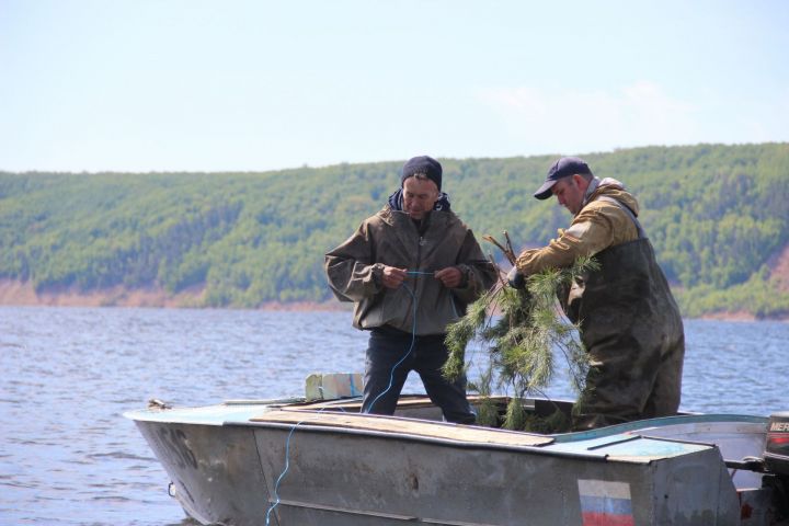 На водоемах Татарстана в рамках акции «Рыбе — быть!» установлено более 20 км рыбьих домиков