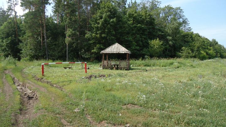Для татарстанцев 2023 году в лесах благоустроено 225 зон отдыха