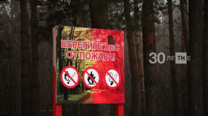 В Татарстане вновь введено ограничение на посещение лесов на 21 календарный день