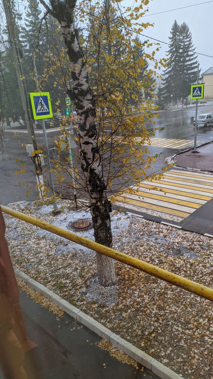По Татарстану ожидается сильный ветер и кратковременная метель с ухудшением видимости