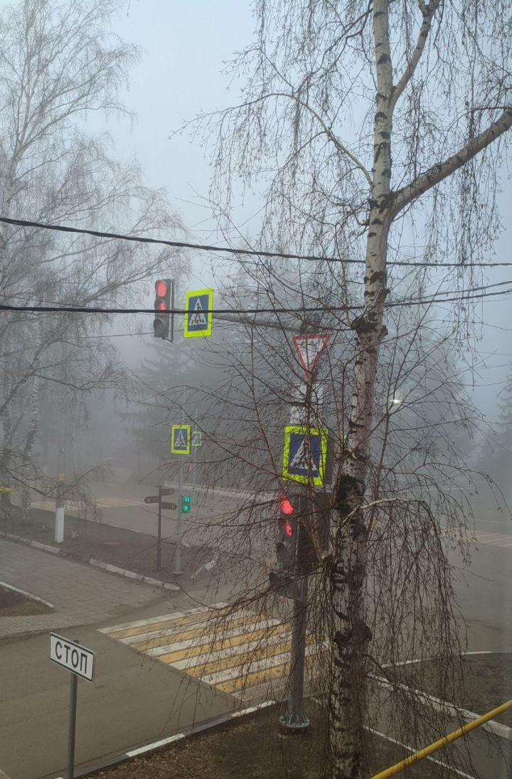 По Татарстану вновь сильный туман