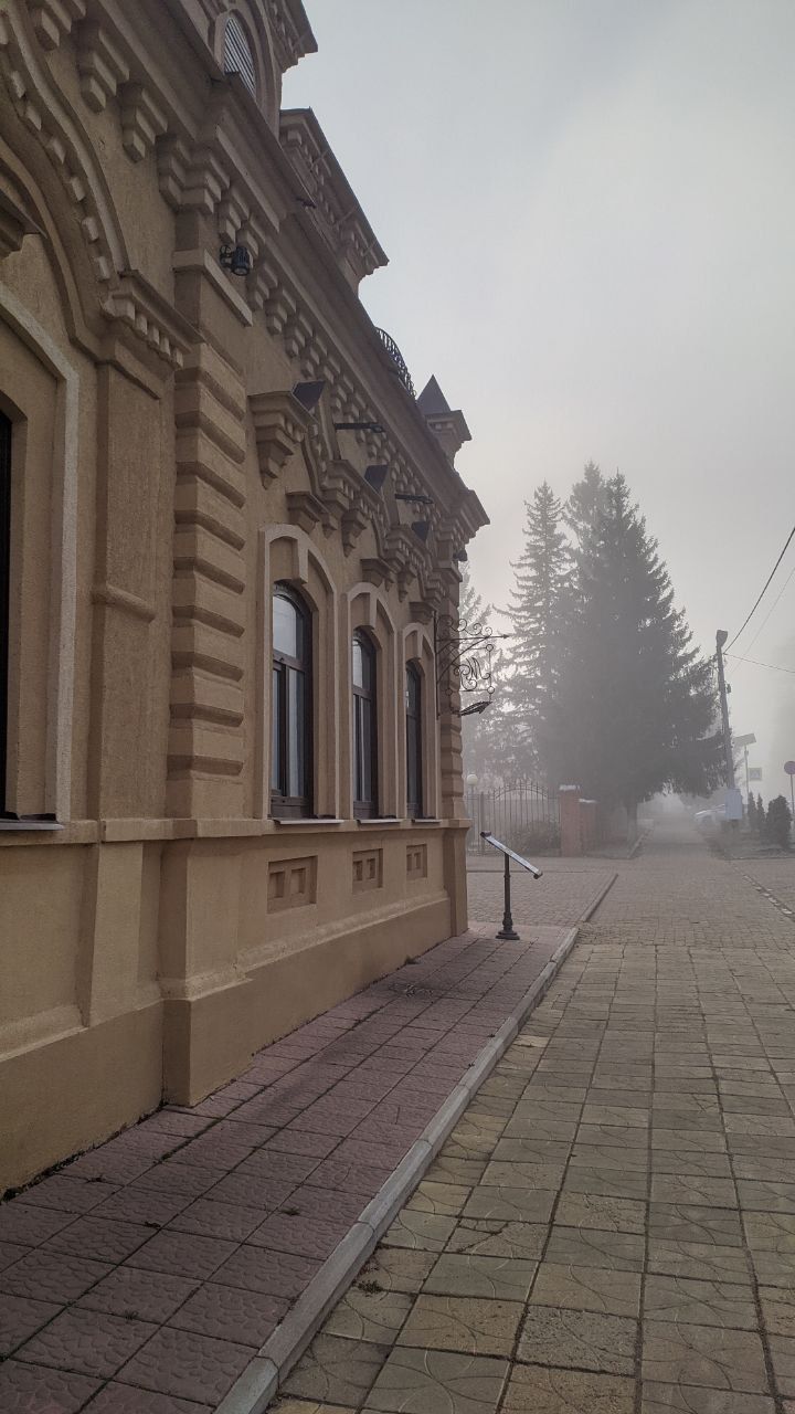 Погода в Тетюшах 29 ноября: выпадут осадки в виде мокрого снега и снега