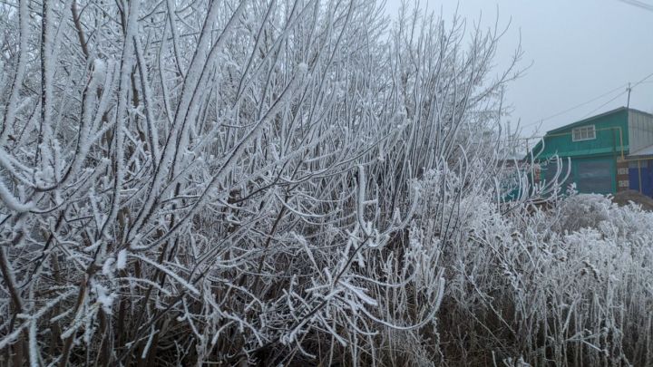 По Татарстану ночью и утром прогнозируется туман