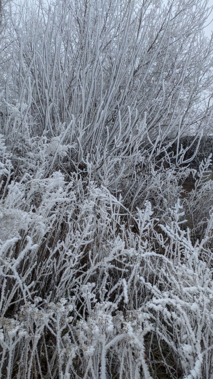 По Татарстану окрепнут морозы до -18˚