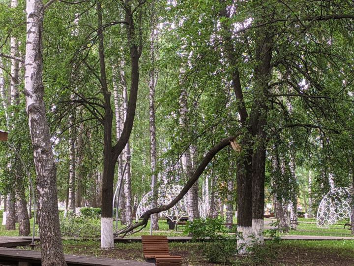 О погоде в Тетюшах 20 июня: днем воздух прогреется до +29˚, не исключены грозы