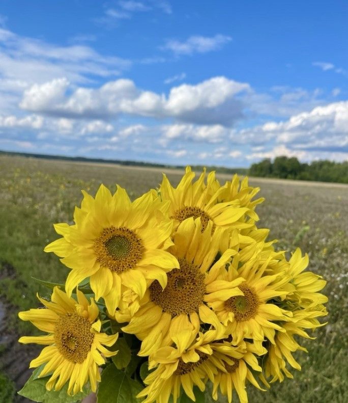 Погода в Тетюшах