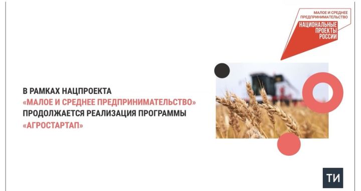Благодаря нацпроекту на поддержку фермеров Татарстана в 2024 году выделили 369 млн рублей