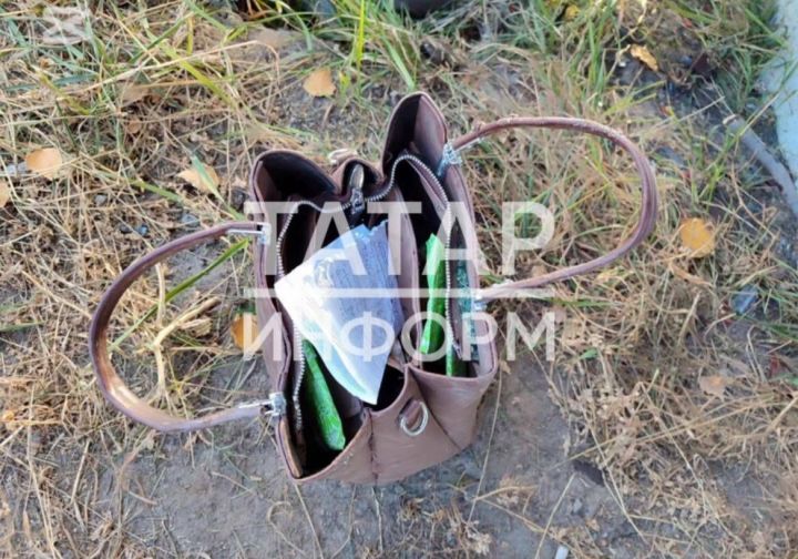Трое пассажиров погибли в ночном ДТП в Казани: опубликованы кадры с места трагедии