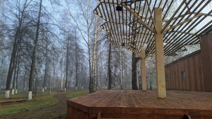 Аномальное тепло задержится в европейской части России до конца ноября
