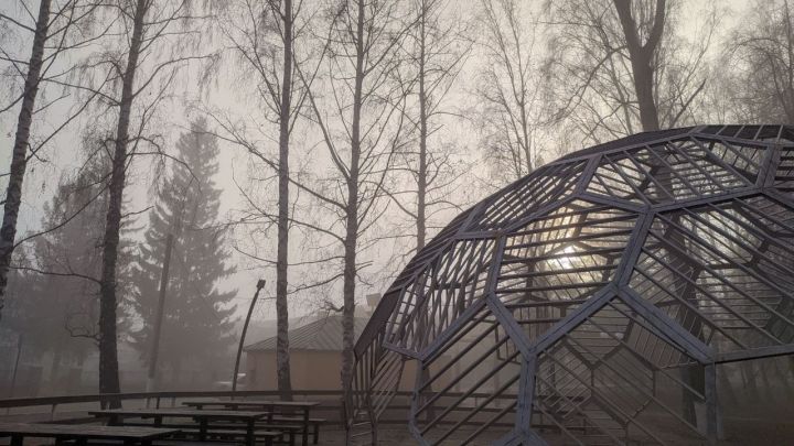 Аномальное тепло в Татарстане: в начале декабря температура превысит норму на 8–10 °C