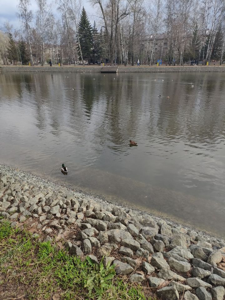 Прогноз погоды в Татарстане: теплые и солнечные дни ждут впереди