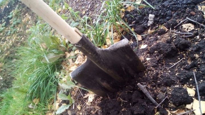 Субботник в селе Жуково: праздник чистоты и дружбы