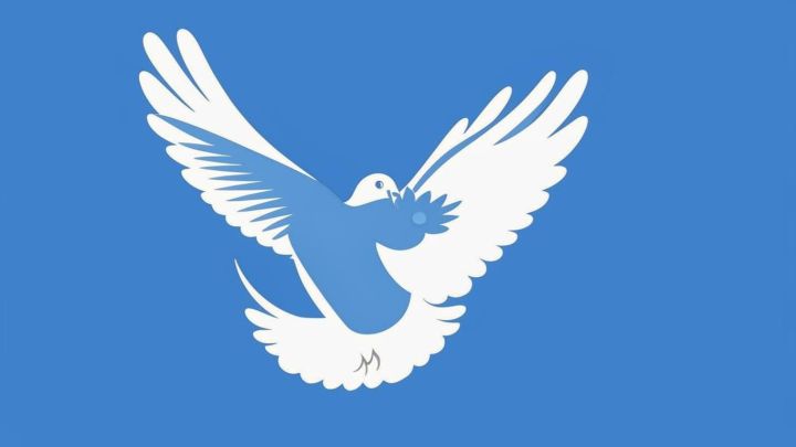 В Тетюшах прошла акция «Голубь Мира - голубь Победы»