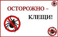 Чем опасны клещи