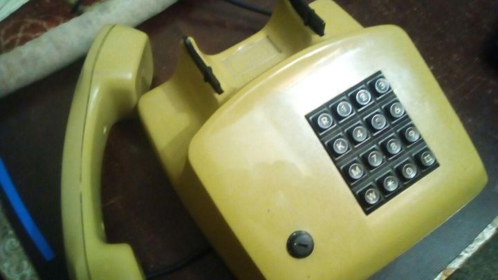 «Горячая линия» Роспотребназора защищает права обучающихся