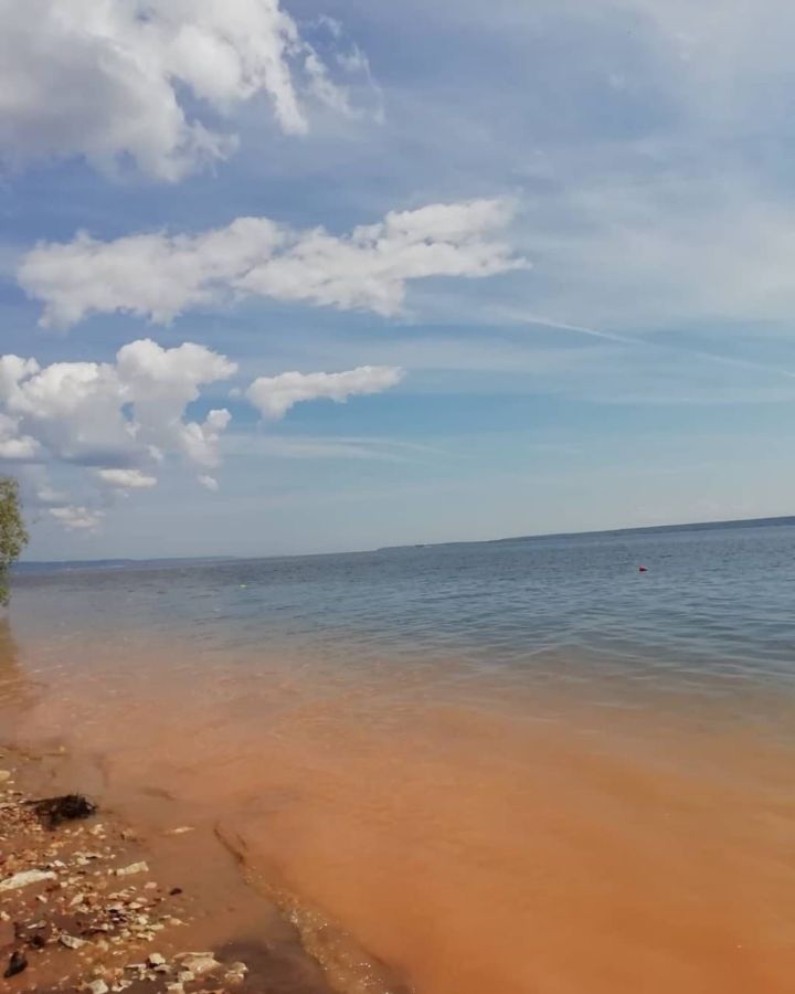 В соседнем с Тетюшами районе арестован подозреваемый в жестоком убийстве рыбака