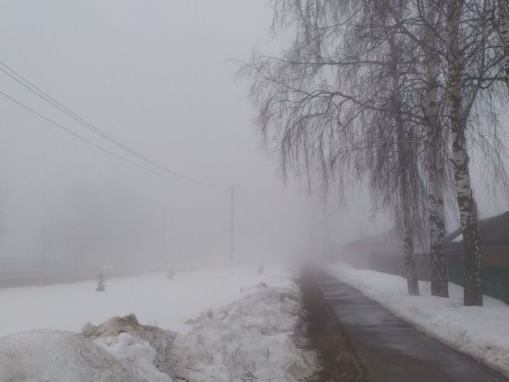 В Татарстане ожидается туман: МЧС предупреждает об опасности