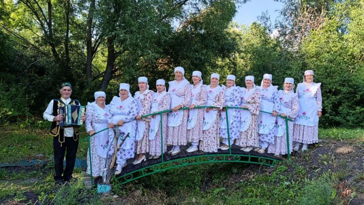 Артисты из Тетюшского района зажгли на празднике в Дрожжановском районе