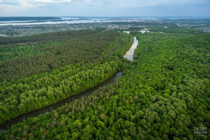 Республикада урманнарның янгын сүндерү полосалары төзекләндерелде